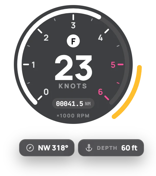 Pro boat dashboard in knots with heading and water depth