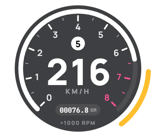 Pro speedometer at 216 km/h in fifth gear